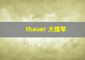 thauer 大提琴